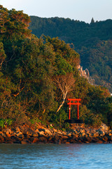 Japan, Wakagama Prefecture. A Torii Gate on hillside. 