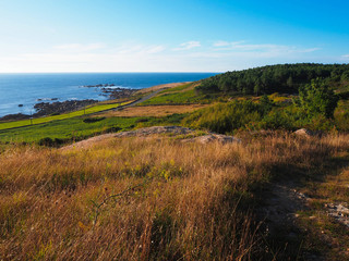 Sea road in North of Galicia next to the Atlantic Ocean and a mountain pathway which connect two little towns. Full of vegetation, sunny day, so lighting and light blue colors. 