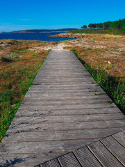 Obraz premium Wood pathway going directly to the Atlantic ocean (norht sea) and a Galicia Beach. Way sorrounded by vegetation, flowers and wheat. 