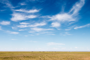 Obraz premium Big Sky Country. Gobi Desert. Mongolia.