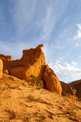 Fototapeta premium Flaming Cliffs. Bayanzag. Gobi Desert. Mongolia.