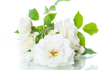 Fototapeta premium bouquet of beautiful white roses isolated on white