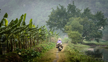 Fototapeta na wymiar Vietnam, Ninh Binh. Woman on bicycle riding away on path.