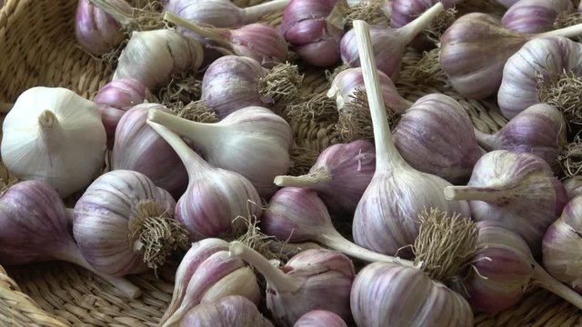 Fresh garlic in small basket