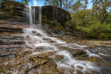 Fototapeta na wymiar waterfall on weeping rock walking track, blue mountains national park, australia 20