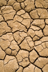 Dry Irrigation Pond, Strzelecki Track, Outback, South Australia, Australia