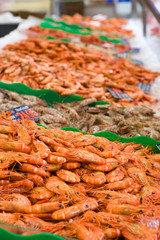 Fisherman's Wharf and fish market at Darling Harbour, Sydney, Australia