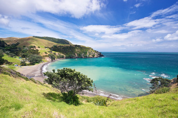 Fototapeta na wymiar New Zealand, North Island, Coromandel Peninsula, Fletcher Bay