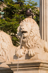 Cuba, Havana. Lion fountain near Plaza de Armas