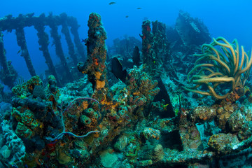 Fototapeta na wymiar Wreck of the RMS Rhone, iron-hulled steam sailing vessel, sank after the Great Hurricane of 1867 off the coast of Salt Island, near Tortola, British Virgin Islands, Caribbean
