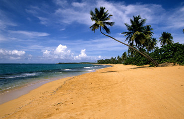 Beach Puerto Rico