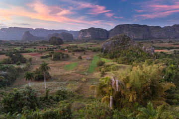 Cuba, Vinales. An elevated view over the valley and its fields and farms. © Brenda Tharp/Danita Delimont