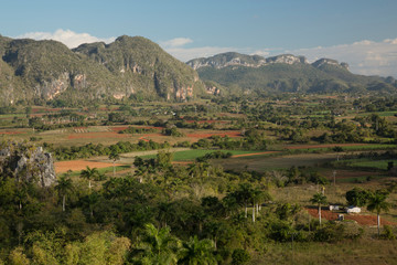 Obraz premium Cuba, Vinales, valley with tobacco farms and karst hills (mogotes). Vinales Valley is a UNESCO World Heritage Site