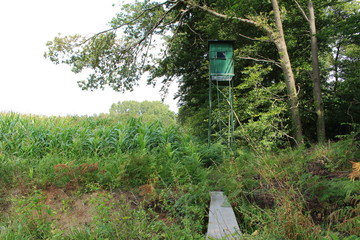 Hochsitz unter dem Baum