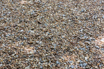 Small Stone on Ground
