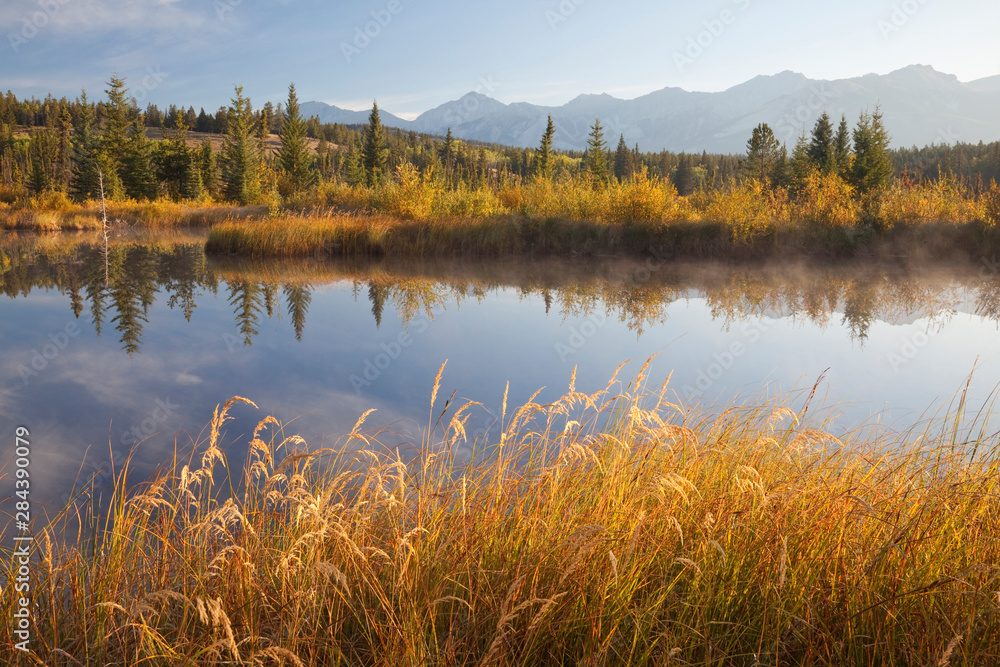 Sticker canada, alberta, jasper national park. scenic of cottonwood slough. credit as: don paulson / jaynes 