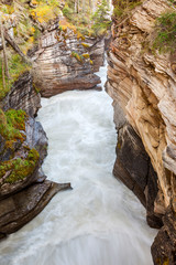 Canada, Alberta, Jasper National Park, Canyon below Athabasca Falls