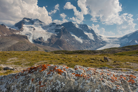 Mt. Athabasca, and Mt. Andromeda and Columbia Icefield as seen from Wilcox Trail, Jasper National Park