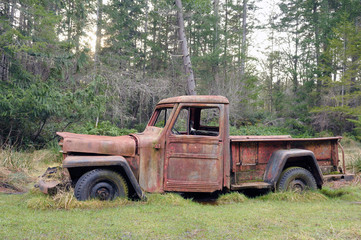 Canada, British Columbia, Gulf Islands, Wallace Island. Old pickup truck in the grass