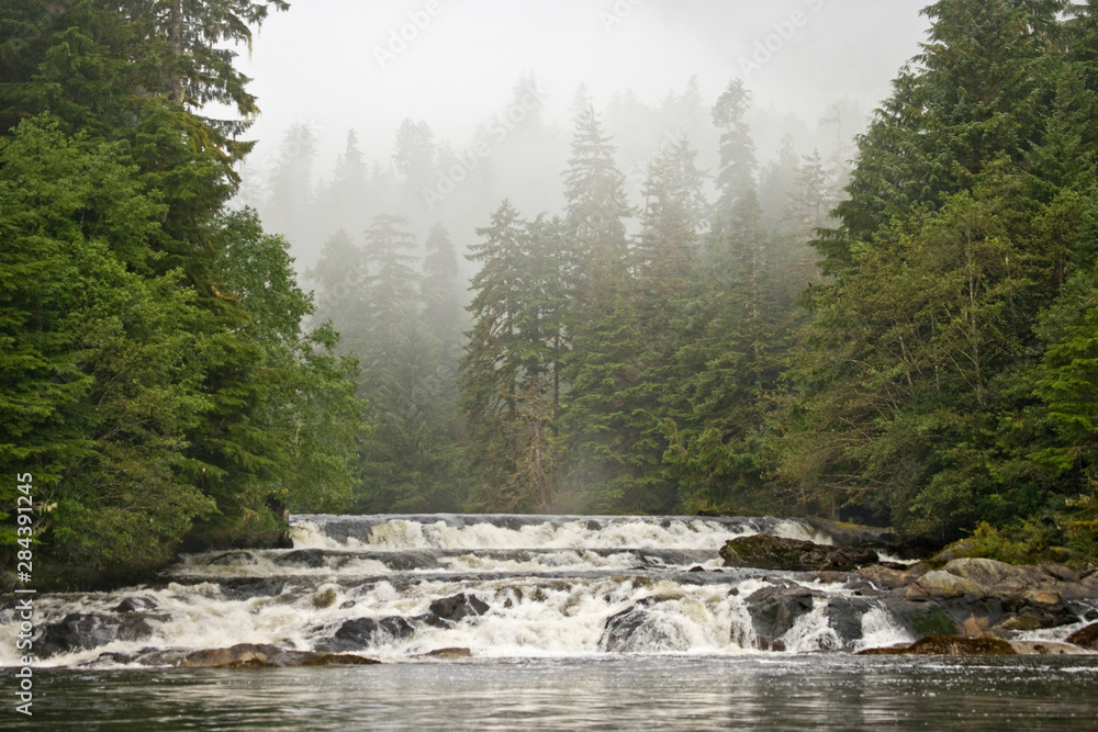 Canvas Prints canada, british columbia, princess royal island. canoona river waterfalls next to misty forest.