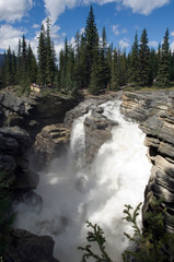 Fototapeta na wymiar Athabasca Falls, Jasper National Park Alberta, Canada
