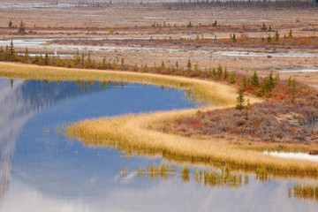 Canada, Alberta, Jasper National Park. Scenic of Sunwapta River. Credit as: Don Paulson / Jaynes Gallery / DanitaDelimont.com