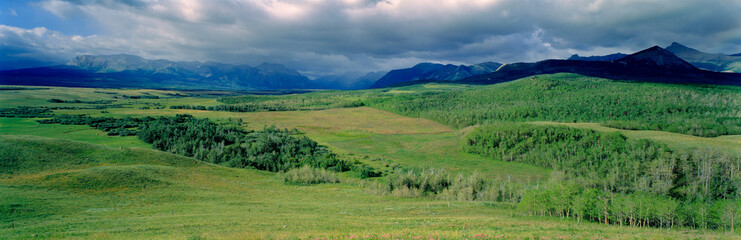 Fototapeta na wymiar Canada, Alberta, Rocky Mountains. Forests and rangeland stretch from Highway 3 to the Canadian Rockies in Alberta, Canada.