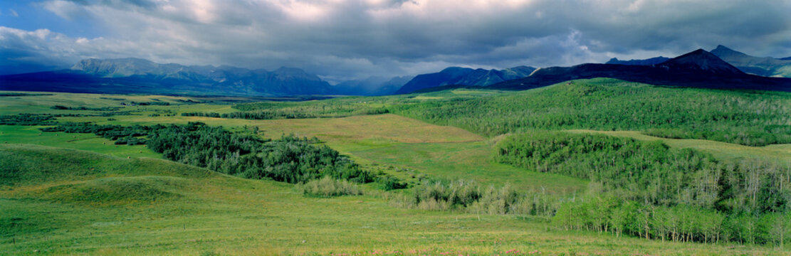 Canada, Alberta, Rocky Mountains. Forests and rangeland stretch from Highway 3 to the Canadian Rockies in Alberta, Canada.