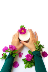 Young female hands are holding jar with white anti-ageing moisturizing cream with dog rose oil essential and vitamin E  on white background with bright pink dog roses, petals and green leaves