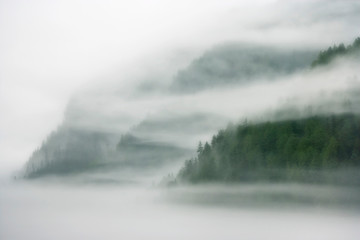 Canada, British Columbia, Fiordland Recreation Area. Mist and fog shroud water and forested island.  - 284391818
