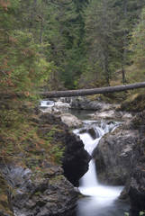 Fototapeta na wymiar Lower Falls, Little Qualicum Falls Provincial Park, Vancouver Island, British Columbia, Canada