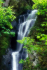 Fototapeta na wymiar Canada, British Columbia, Langford. Waterfall montage at Goldstream Provincial Park. Credit as: Marie Bush / Jaynes Gallery / DanitaDelimont.com