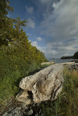Keith Island, Broken Island Group, Pacific Rim National Park Preserve, British Columbia, Canada,...