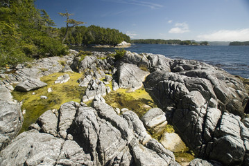 Afternoon at Skull Cove, Bramham Island, British Columbia, Canada, August 2006