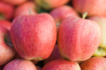 NA; Canada; British Columbia; Okanagan Valley; Gala Apples (Selective Focus)