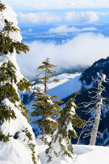 Mt. Washington Ski Resort bordering Strathcona Provincial Park (BC's oldest park established in 1911), Vancouver Island, British Columbia, Canada