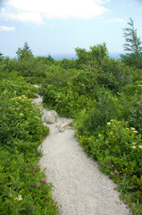 Fototapeta na wymiar Canada, Nova Scotia, Cape Breton Island. Cabot Trail, Cape Smokey hiking trail.