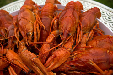 Crawfish upfront