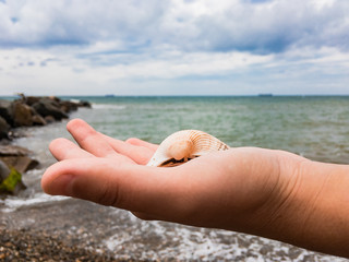 A seashell on the palm of the hand against the backdrop of a sea landscape on a summer sunny day with a cloudy sky.