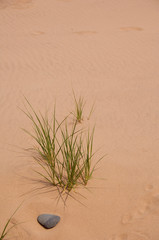 Canada, Prince Edward Island NP, Maritime Plain National Region. Greenwich Peninsula, Cavendish...