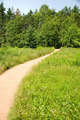 Canada, Prince Edward Island. Green Gables NP. Setting for L.M. Montgomery's classic fiction, Haunted Wood trail.