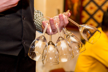 Czech Republic, Prague. Sommelier holding wine glasses for wine tasting at National Wine Bank.