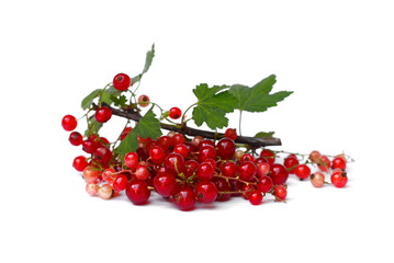 red currant isolated on white background