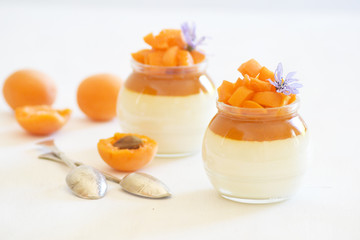 Italian dessert panna cotta with apricot jelly and pieces of fresh apricot. Copy space.