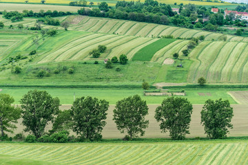 Obraz na płótnie Canvas Czech Republic, Moravia, Spring Farm Fields.