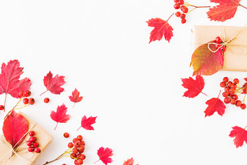 Flat lay border with colorful autumn leaves, berries and gift box on a white background