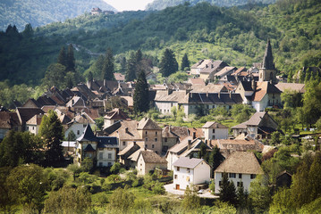 Fototapeta na wymiar France, Elevated view of town in tree area