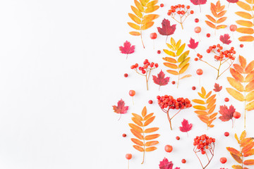 Flat lay border with colorful autumn leaves and berries on a white background