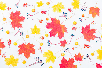 Fototapeta na wymiar Flat lay pattern with colorful autumn leaves and berries on a white background