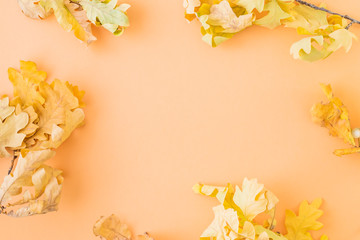 Flat lay frame with colorful autumn leaves on a color background